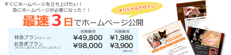 オリジナルデザイン 最速3日でホームページ公開 ★特急プラン(1ページ)初期費用:\49,800、月額費用:\1,980 ★お急ぎプラン(Aプラン、Bプラン、Cプラン、Dプラン)初期費用:\98,000、月額費用:\3,900